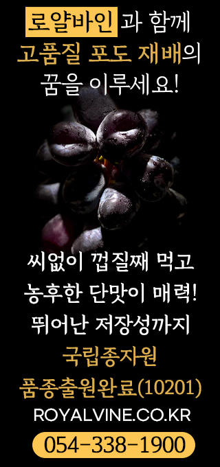 배너