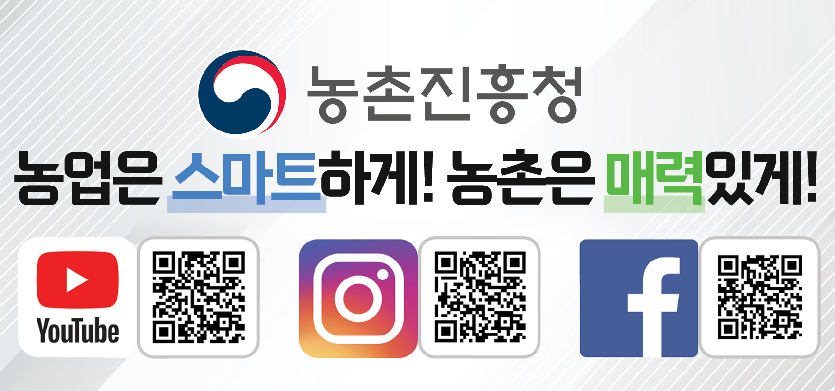 배너