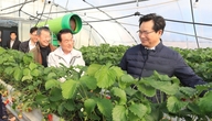 정황근 농림축산식품부장관, 충남 논산시 딸기 수출 현장 방문