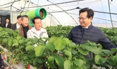 정황근 농림축산식품부장관, 충남 논산시 딸기 수출 현장 방문