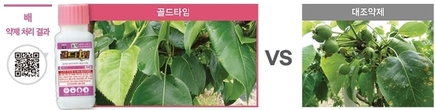 봄철, 검은별무늬병 경보가 울린다
