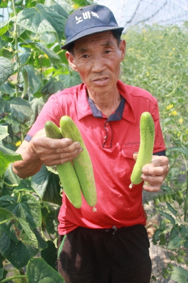 아시아종묘의 젤루존백침 오이를 들어보이는 이규택씨.