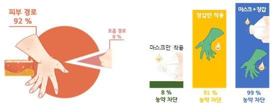 농약조제 단계 흡수경로 및 보호장비 착용 수준별 차단효과