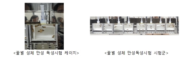 꿀벌 성체 만성(10일) 독성시험법<br>
OECD No. 235에 해당하는 시험법으로 최대 2일령의 어린 꿀벌을 실험실 조건에서 시험용액이 포함된 50% 자당용액을 10일 동안 매일 공급하여 치사율 및 이상증상을 관찰하여 독성을 평가하는 방법