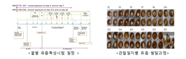 꿀벌 유충 독성시험법(급성, 만성)<br>
OECD No. 238, 239에 해당하는 시험법으로 꿀벌 유충 1일차를 48 웰플레이트에 옮겨 로열 젤리 등의 먹이를 유충 3일에서 6일차까지 매일 먹이면서 동시에 농약에 노출시켜 급성(7일) 또는 만성(22일) 독성을 평가하는 시험법