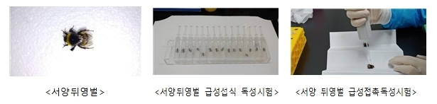 서양뒤영벌 급성독성시험법(섭식, 접촉)<br>
OECD No. 246, 247에 해당하는 시험법으로 실험실에서 서양뒤영벌(Bombus terrestris)을 싱글케이지에 넣어 시험을 진행하며 급성 섭식독성시험법은 뒤영벌에게 농도별 시험물질을 4시간 공급한 후 최대 96시간 동안 치사개체 및 이상개체를 관찰하여 독성을 평가함.