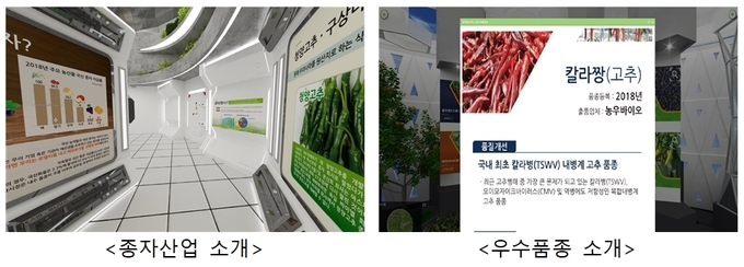 스토리타운 : 종자산업에 대한 지식, 정보 등을 제공하는 공간