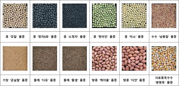 농업기술실용화재단에서 공급하는 주요 밭작물 종자