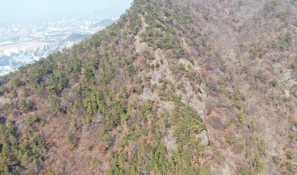 여수시 평여동 산114-176번지 일원 - 방제전