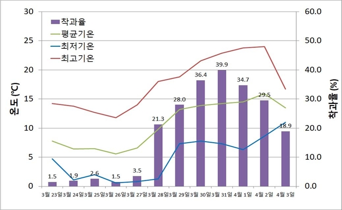 <strong>플럼코트 개화 기간 중 인공수분 최적 시기</strong>