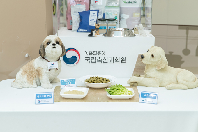 <strong>반려견 비만 예방 새싹보리 먹이 시제품</strong>