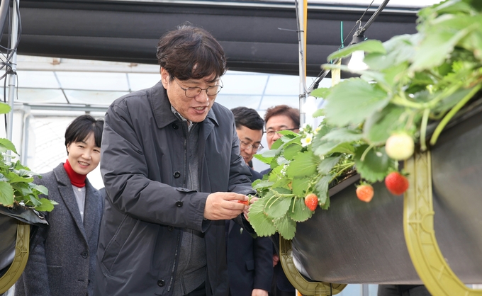 <strong>딸기 재배 청년 농가 방문</strong>