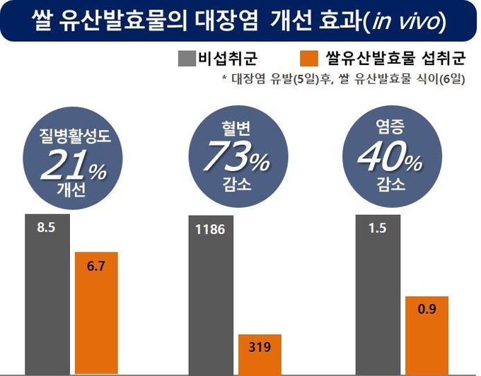 <strong>쌀 유산발효물의 장 기능 개선 및 항염증 효과 검정</strong>