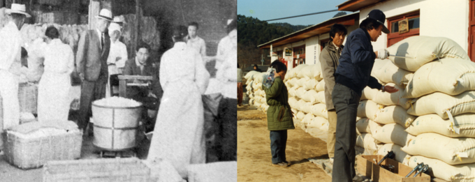 1950년대 농산물검사소 시절 누에고치 검사 모습(왼쪽 사진)과 1980년대 국립농산물검사소 공공비축 검사 모습(오른쪽 사진)