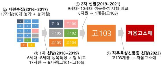 <strong>처음고소애 육성계통도</strong>