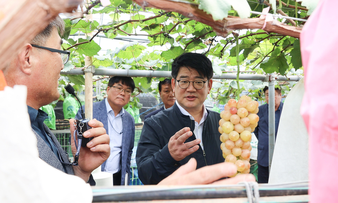 <strong>권재한 농촌진흥청장_수출용 포도 생산 현장 방문</strong>