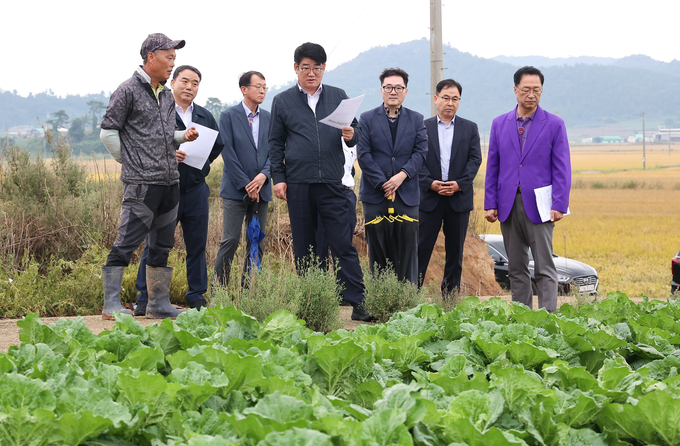 <strong>권재한 농촌진흥청장_</strong><strong>가을배추 생육 상황 점검</strong>