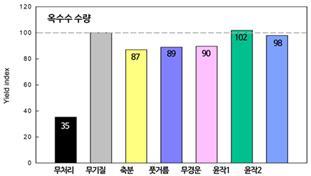 <strong>10년간 관행재배(무기질비료) 대비 유기재배 처리별 옥수수 수확량</strong>