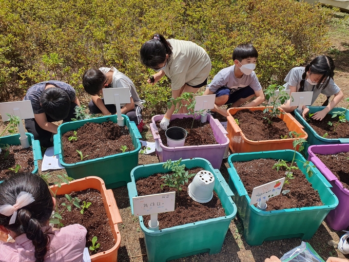 <strong>학교텃밭 프로그램</strong>