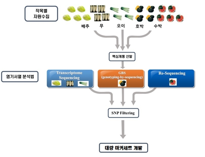 <strong>분자표지 세트 개발 과정</strong>