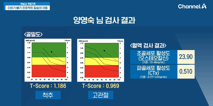 사진설명: 채널A 특별기획 '더하기 빼기 프로젝트 칼슘의 이동' 방송 화면.