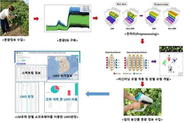 <strong>분광법 활용 GMO판별기술 개발 흐름도</strong>