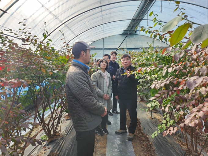 농촌진흥청 권철희 농촌지원국장이 폭설로 발생할 수 있는 시설온실 파손 및 붕괴 예방을 위한 조치를 설명하고 있다.