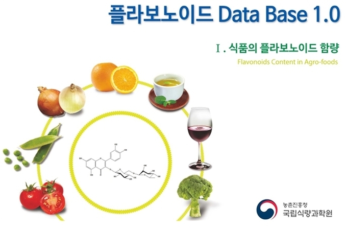 <strong>RDA 기능성분 DB 1.0(플라보노이드 편) 표지</strong>