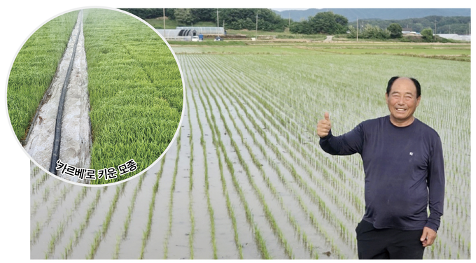 <strong>카르베 농법 적용 벼농사 / 박상억 농업인</strong>
