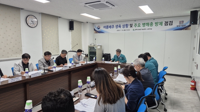 <strong>농촌진흥청 서효원 차장(가운데)이 강원도 태백시농업기술센터에서 '여름배추 생육 상황 및 주요 병해충 방제 점검' 회의를 주재하고 있다.</strong>