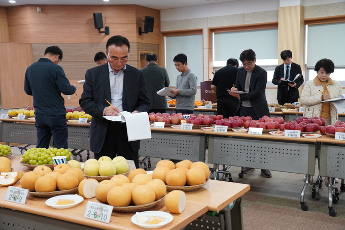2024 대표 과일 선발대회 외관 심사 모습