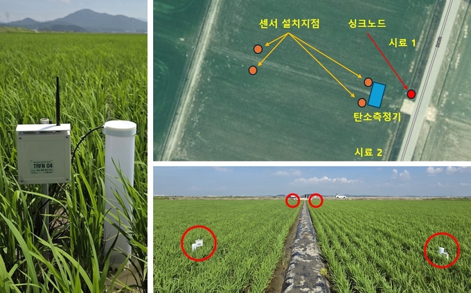 <strong>논 토양 내 양분 농도 측정</strong>
