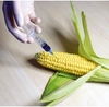 “한국의 GMO 종자시장을 열어라?”