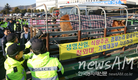 소값 폭락…청와대 ‘한우반납운동’ 전개