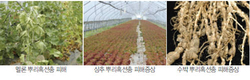 [기고]뿌리혹선충, 작물 생산량 좌지우지…땅속의 적