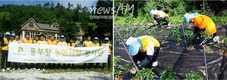 동부팜한농 직원들, 태백시 농작업 도와