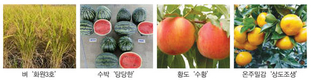 충남대 ‘화원3호’ 동부팜 ‘당당한’ 등 483품종 등록