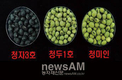 혼반ㆍ떡소용 녹색콩 ‘청미인’ 개발