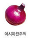 아시아종묘, 신품종 양파 재배면적 증가 전망