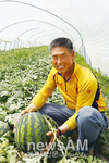 산타꿀수박, 9~1월 전천후 재배 쉽다 