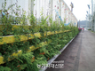 도시조경에 식물이용 기술 확산  