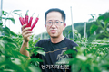아시아 대과종 고추 PR진대건 ‘인기몰이’