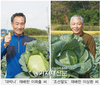 충남 서산 ‘대박나’·‘조선팔도’ 양배추 호평  