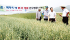 중·북부 지역 맥류 봄파종 3모작 시대 연다