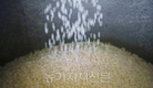“쌀값 안정을 위한 해결책을 찾아라!”