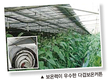 시설재배, 다겹보온커튼으로 난방비 절감!