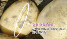 감자 터짐, 수확 전에 줄기 미리 뽑으면 줄어