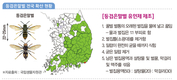 꿀벌 킬러, 등검은말벌 전국 동시방제 적기