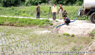 올해 강수량 예년 60%, 모내기할 물이 없다