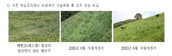 산지초지 종자 제때 겉뿌림으로 방목 최적지 완성 